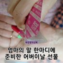 에스오 | 귀건강 어버이날 부모님선물 오디에스오 피스탑 트피플 케어