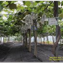 정의선농장 이미지