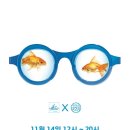 눈사랑안경신제주점 이미지