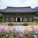일출 난 농원 네이버블로그