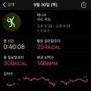 콩테니스