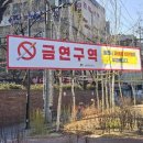 자작나무정원 미디어이슈