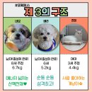 네모 이미지