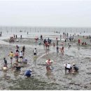 유포체험마을 이미지