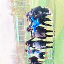 걸포중앙공원 이미지