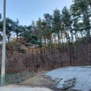 롯데비전공인중개사사무소 이미지