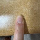 네일 올리브 | 오호라 시럽 네일 강화제 얼그레이 내돈내산 올리브영 구매 후기