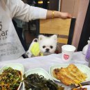 고구려횟집 | 거제도/몽돌해수욕장 고구려횟집(애견동반가능)