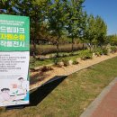 드림파크 이미지