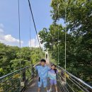 비둘기낭마을 | 무더운 여름날, 포천 비둘기낭 폭포에서 시원하게! 아이들과의 당일 나들이 후기