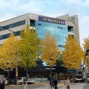 성모채움정형외과의원 이미지