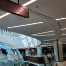 아폴로치과의원 이미지