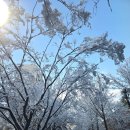 창동백호태권도장 이미지