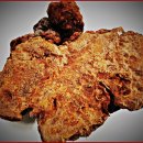 약초동물병원 이미지