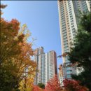 수지대림공인중개사사무소 | [공지] [광교대림이편한세상] 정부의 10.15주택시장 안정화 대책, 향후 장단기적 시세영향 분석/광교부동산