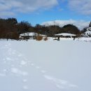 교래자연휴양림야영장 이미지