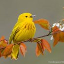 시화계룡2차아파트 이미지