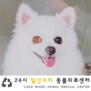 시아동물병원 이미지