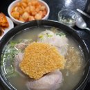 신촌영양센타 | [신촌] 신촌영양센터 | 신촌역 백숙 삼계탕 전기통닭구이 맛집 맛집 후기 (내돈 내산)