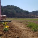 다래골농장 이미지