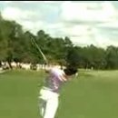 LEE 골프 이미지