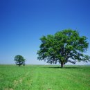 영어(회화) 이미지