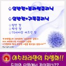 야수타라프로헤어