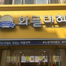 와플대학이천캠퍼스 이미지