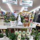 쎄븐일레븐 이미지