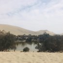 올리브 호스텔 이미지