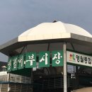 영월청과