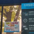 카워시블링존