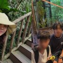 박은혜 카카오 검색결과