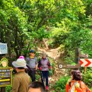 백조약수터 이미지