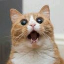 그린오토월드 이미지