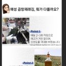 해성농수산물 이미지