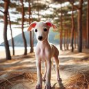 좋은가족들 이미지