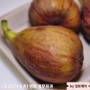 영암햇살농장 | 지금 즐기기 좋은 제철과일 꽃과일무화과 영암 홍무화과 1kg 후기