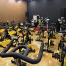 호주면세점 해운대장산역점 | 장산역헬스장 찾는다면? 어반블루피트니스 재등록 후기