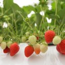 낭만여행 이미지