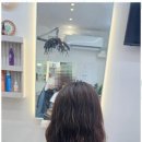 수원-1642 이미지