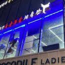 코리아 특공무술 이미지