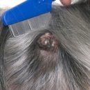 평화동물병원 이미지