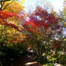 풍경쉼터 이미지