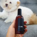 헤이브로 이미지