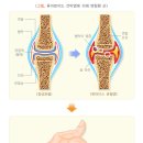 건강하나로약국 이미지