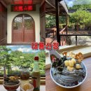 원창베이스뷰 | 춘천여행 이색 디저트 맛집 춘천 대형 카페 추천, 대룡산장