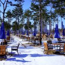 호수공원,중앙공원 이미지