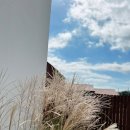 스테이 모든날 이미지