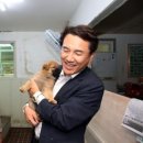 야생동물의료센터 이미지